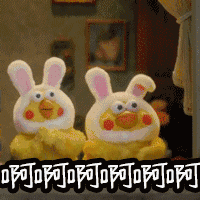 2.gif